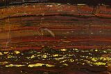 Polished Tiger Iron Stromatolite - Billion Years #129265-1